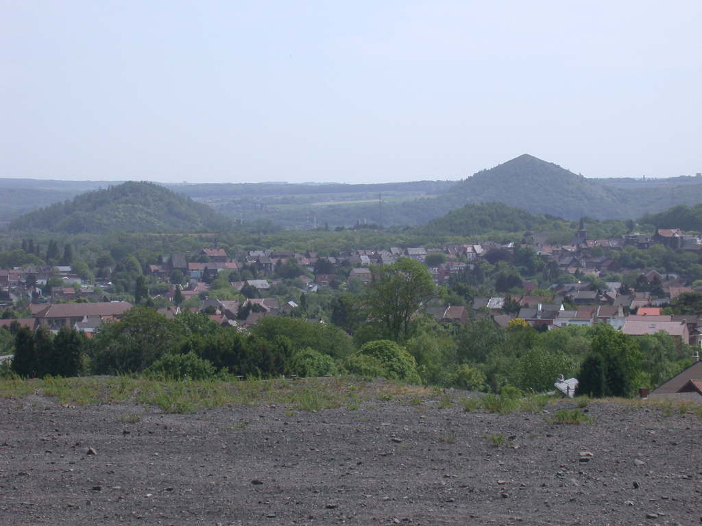 Arriva con il caldo...   QUIZ